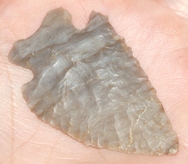 bifurcate arrowhead