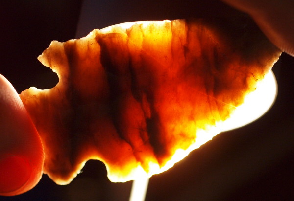 bifurcate arrowhead