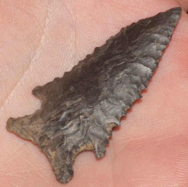 bolen arrowhead