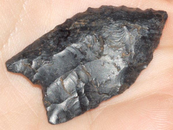 clovis arrowhead