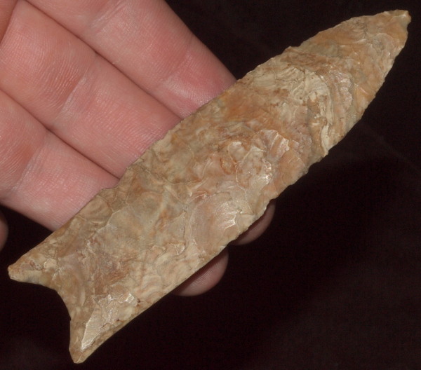 clovis