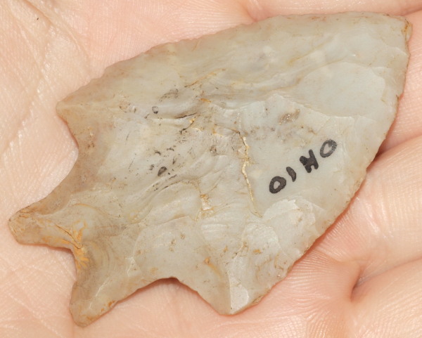 bifurcate arrowhead