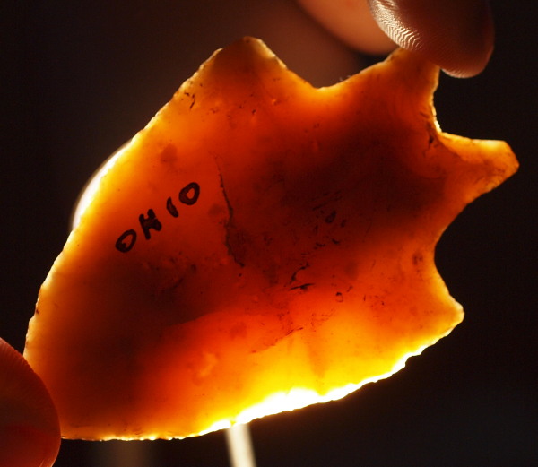 bifurcate arrowhead