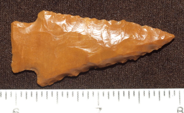 jasper kirk arrowhead