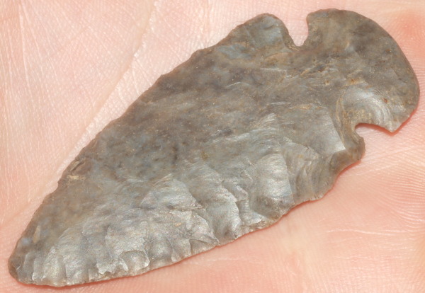 dovetail arrowhead