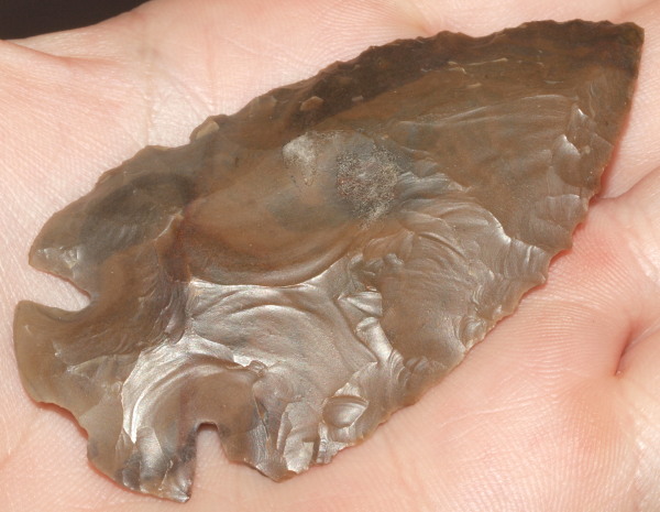 dovetail arrowhead