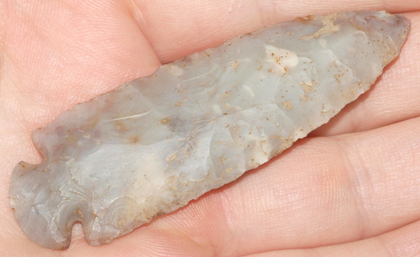 dovetail arrowhead