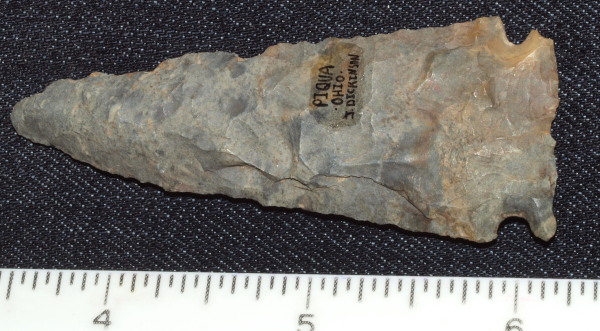 meadowood arrowhead