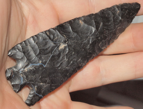 basal notch arrowhead