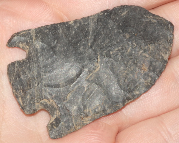 basal notch arrowhead