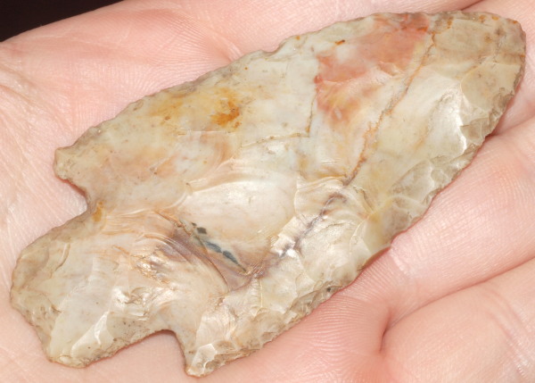 adena arrowhead