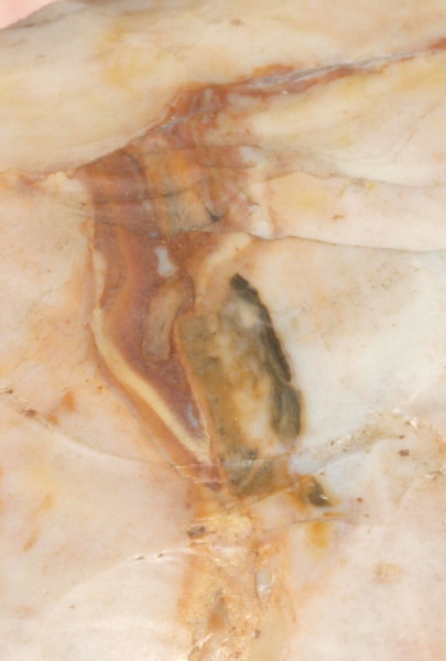 adena arrowhead