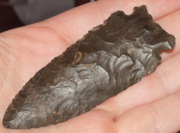 stillwell arrowhead