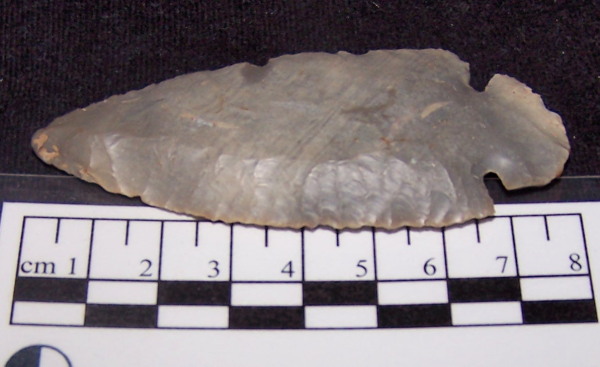 dovetail arrowhead