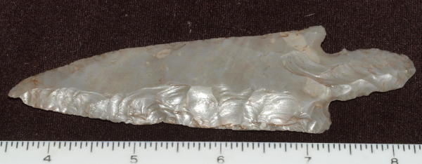 turkey tail arrowhead