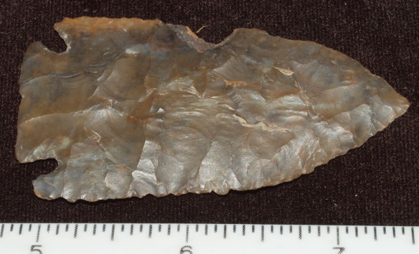 sonora kirk arrowhead