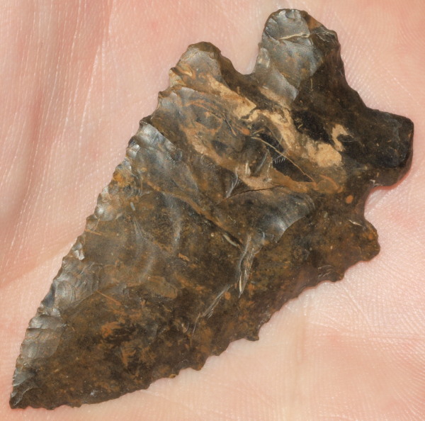 maccorkle arrowhead