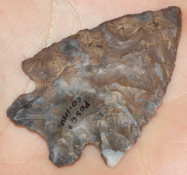 maccorkle arrowhead