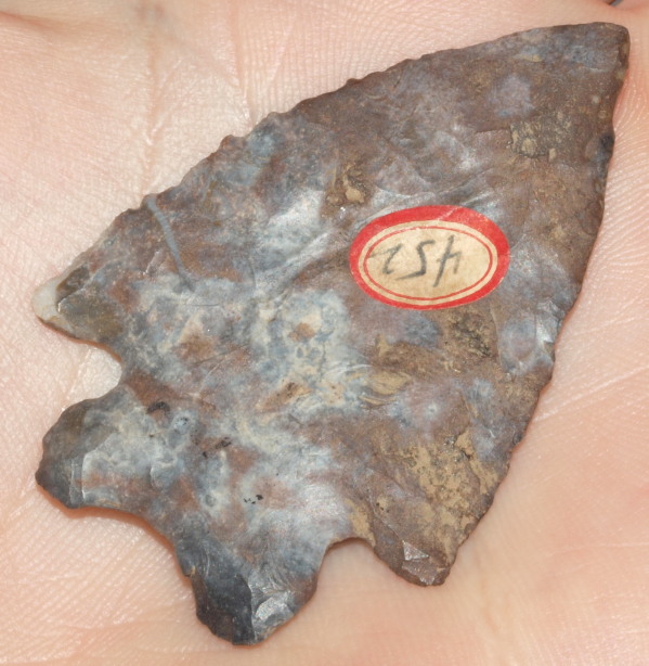 maccorkle arrowhead