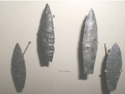 Late Paleo
