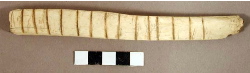 Bone Rasp